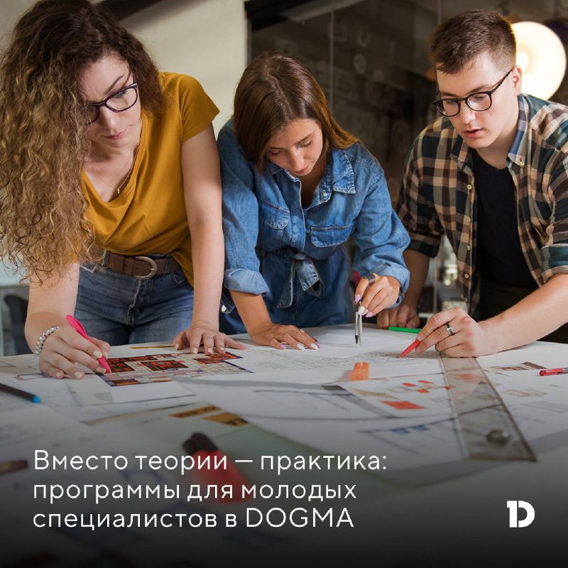 С Днем студента: Поддержка будущих профессионалов от компании DOGMA