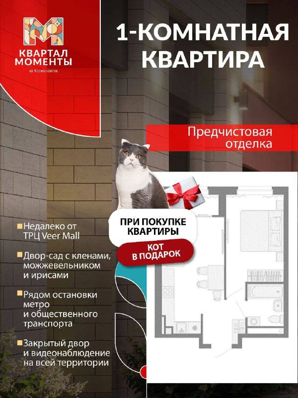 Новая Era Покупки Недвижимости: Квартиры с Котом и Ипотекой