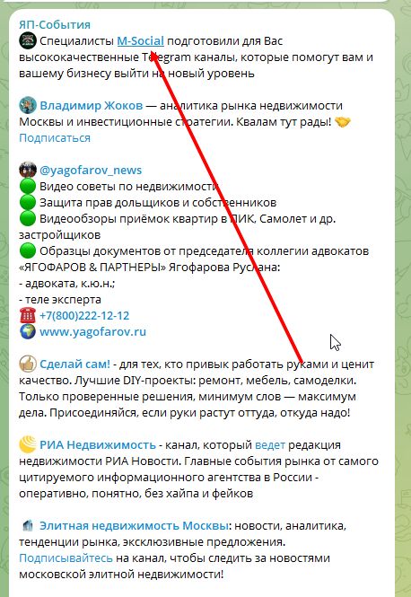 Резонансные случаи мошенничества и скамерские схемы в сфере недвижимости и Telegram-каналах