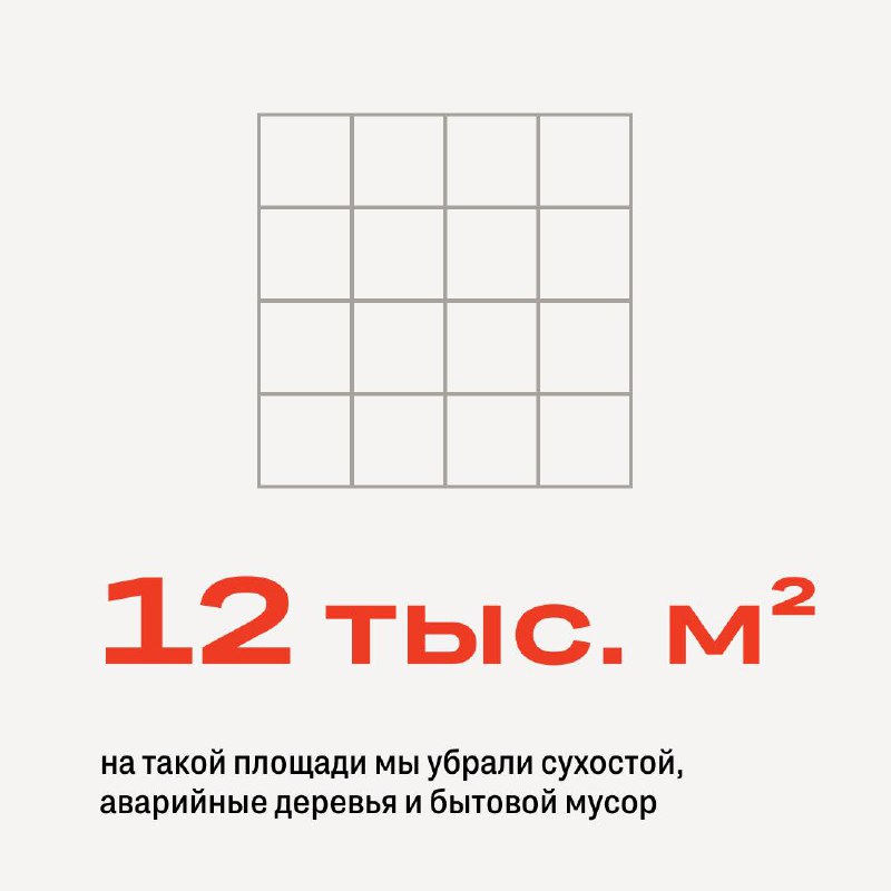 Масштабная экологическая очистка озера Верхового в Новосибирске
