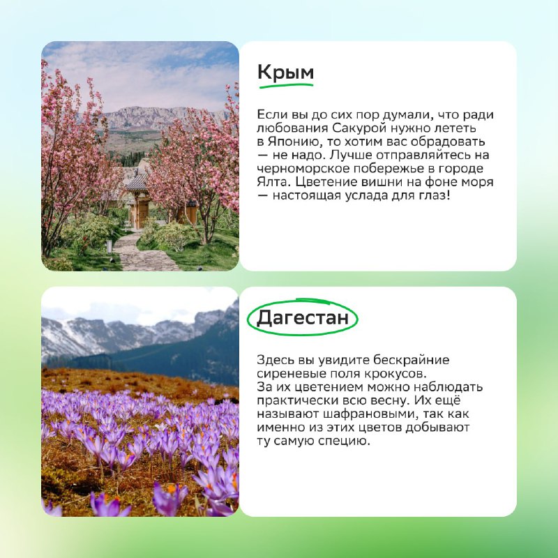 Лучшие направления для отдыха на майские праздники