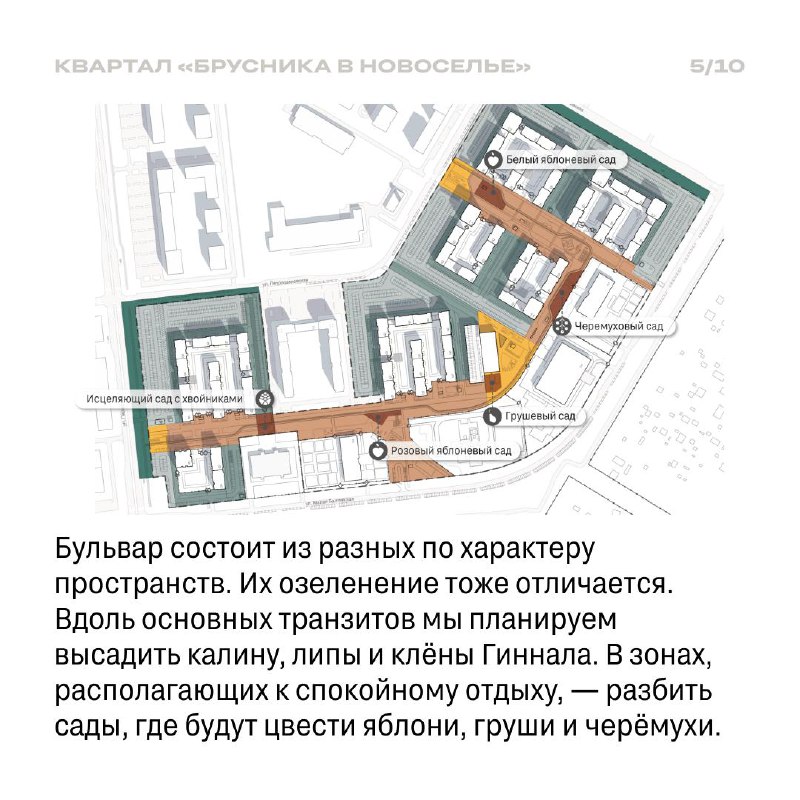 Развитие жилого района рядом с Финским заливом: проект Новоселье