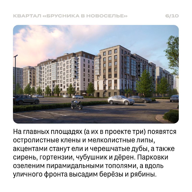 Развитие жилого района рядом с Финским заливом: проект Новоселье