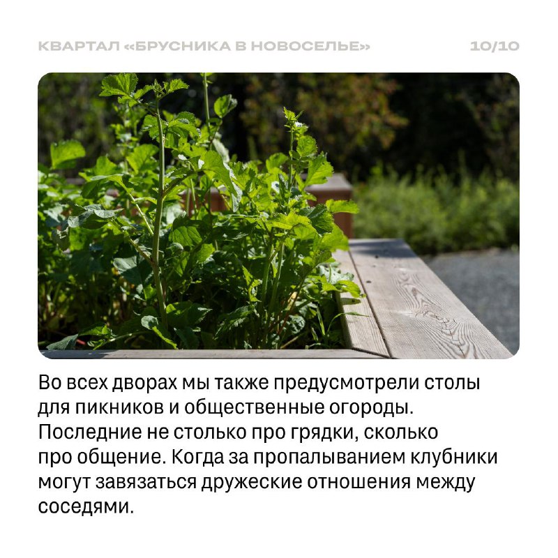 Развитие жилого района рядом с Финским заливом: проект Новоселье