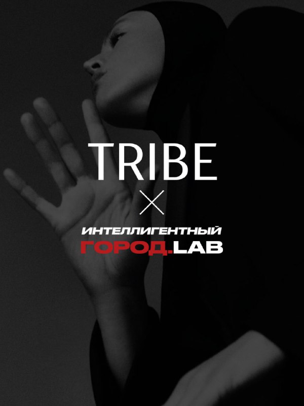 Редизайн TRIBE: новые подходы к развитию индустрии строительства