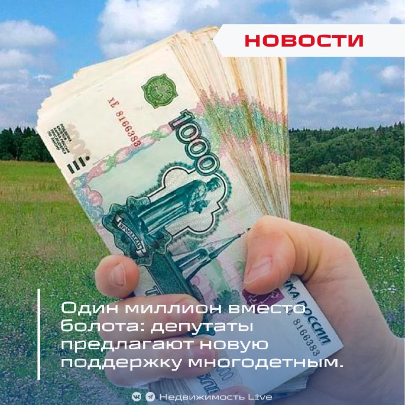 Депутаты предлагают выплатить многодетным семьям не менее миллиона вместо бесплатного участка