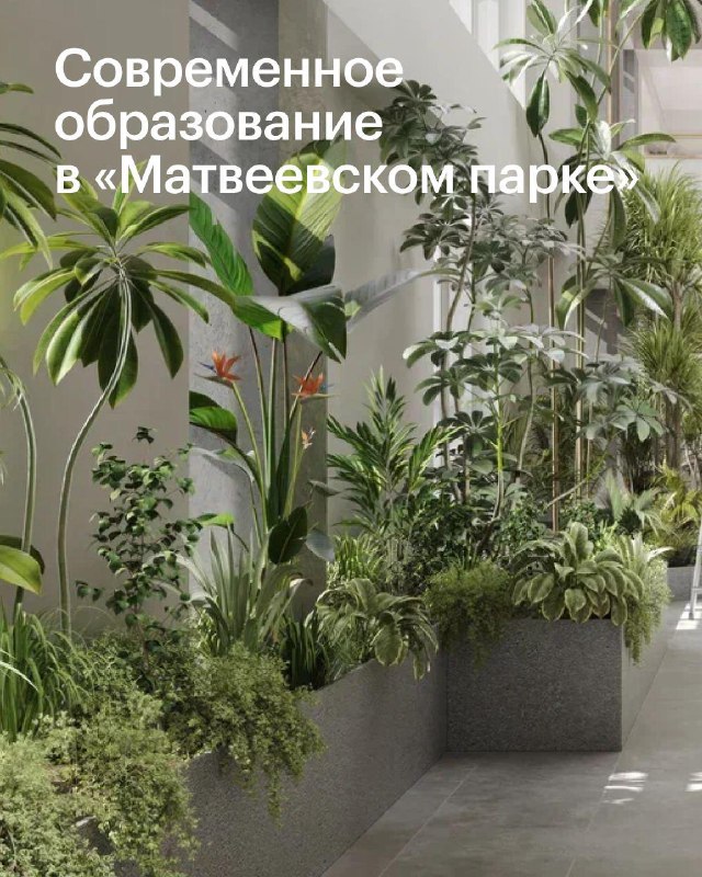В 2026 году в «Матвеевском парке» откроется инновационная школа нового формата