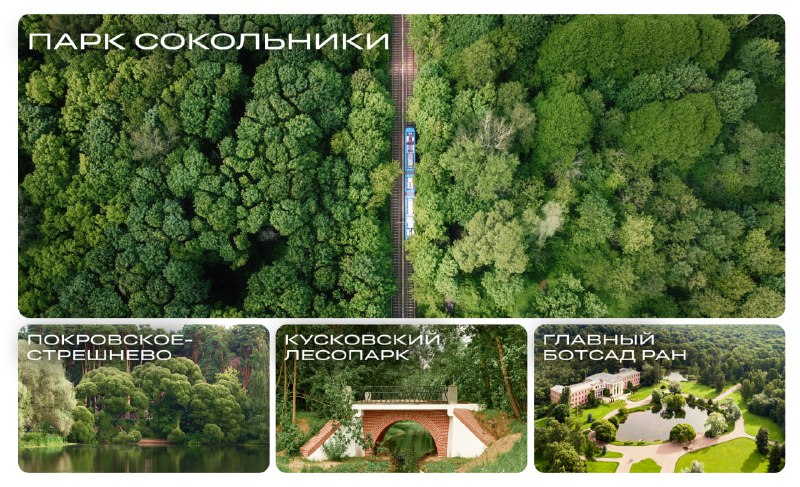 Обзор жилых комплексов около зеленых зон Москвы: новые парки и природные уголки