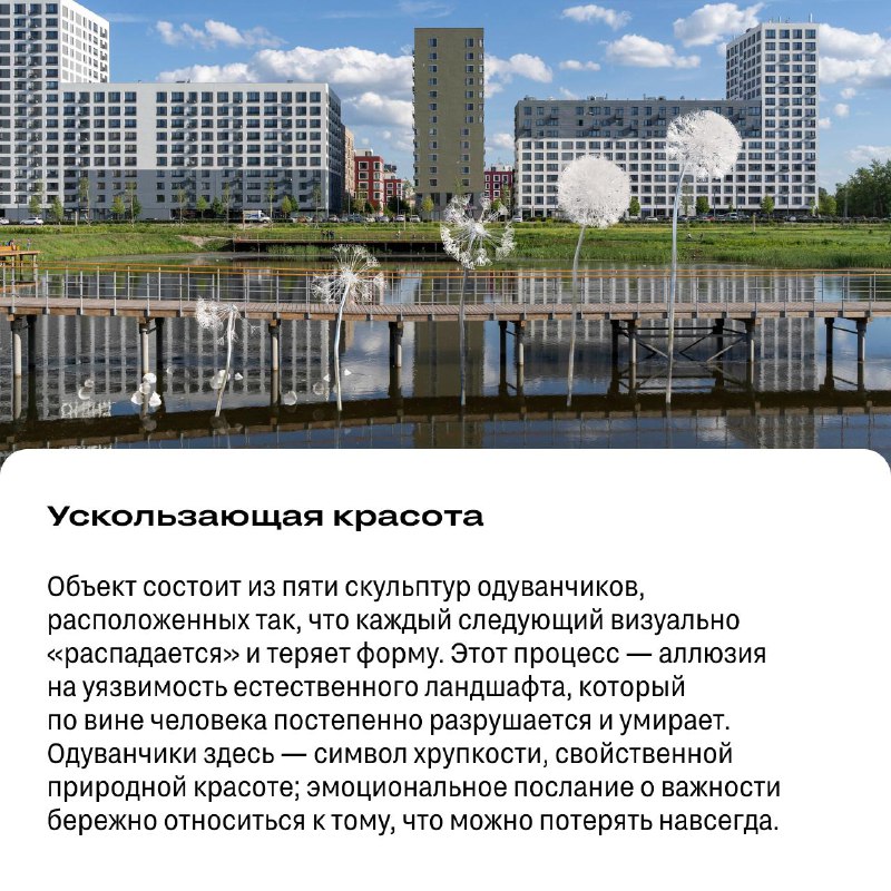 Объявлены итоги конкурса по созданию арт-объектов для озера в Тюмени