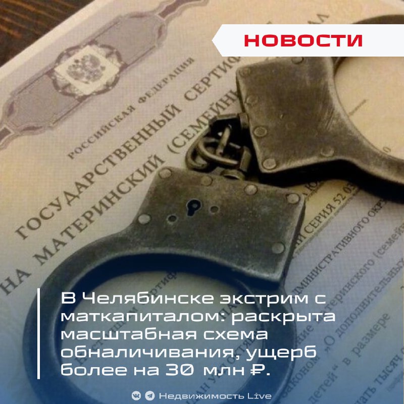 В Челябинске раскрыта крупная схема мошенничества с маткапиталом на сумму более 30 миллионов рублей