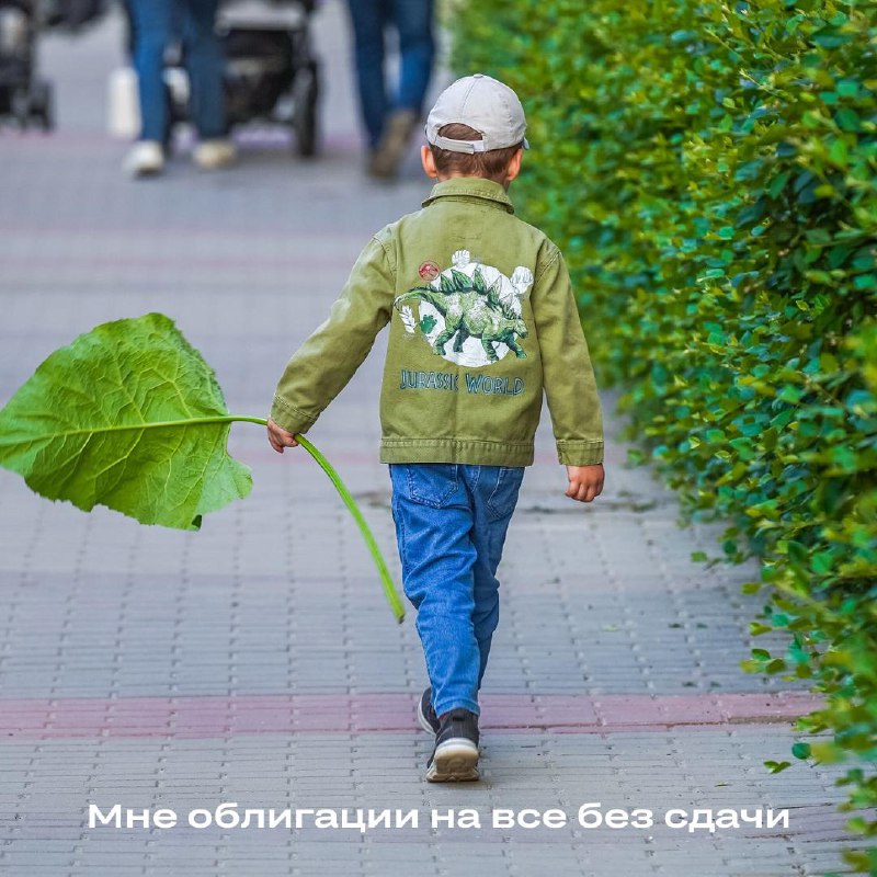 Новое облигационное предложение на Московской бирже: шанс для инвесторов