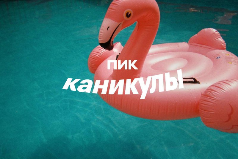 Летние мгновения, которые хочется запомнить