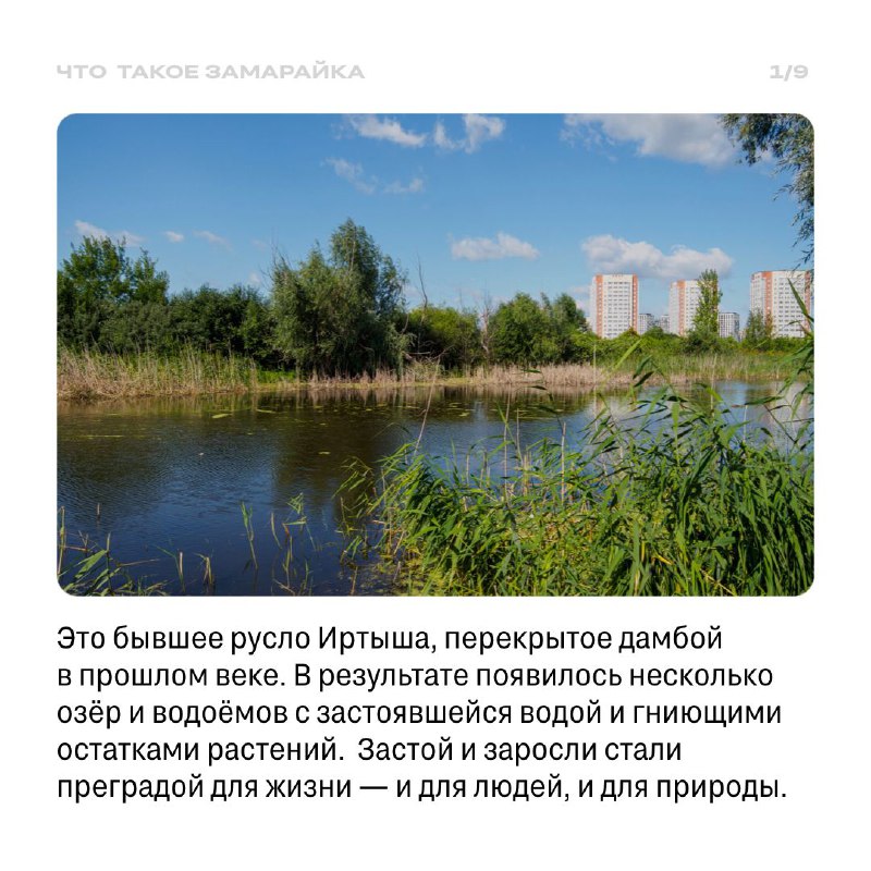 Возрождение Замарайки: создание городского парка с уважением к природе