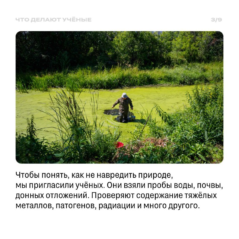 Возрождение Замарайки: создание городского парка с уважением к природе
