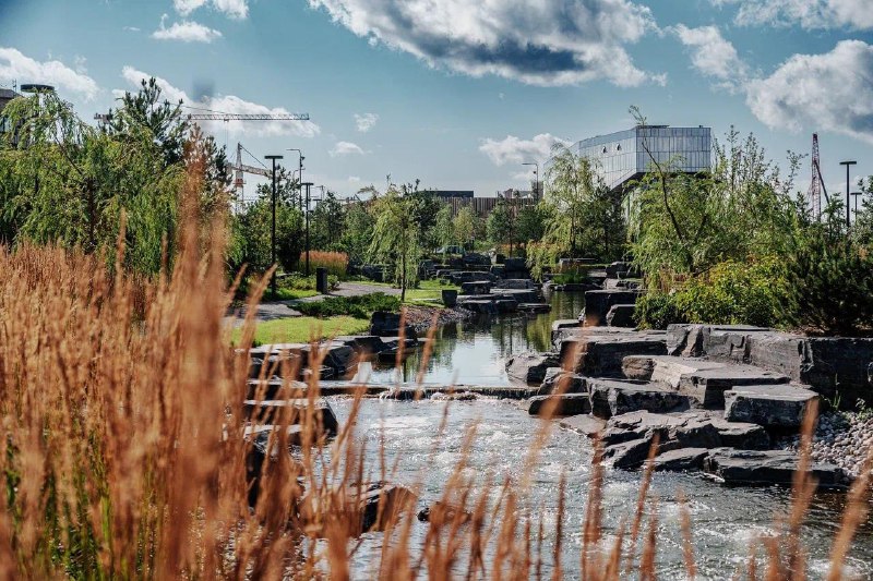 Масштабное озеленение для новых жилых и городских пространств