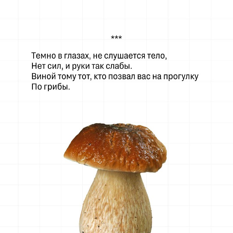 Ощущение середины недели и подготовка к осени: как проверить, прошёл ли август мимо