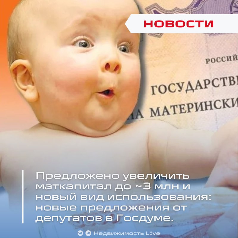Депутаты предлагают увеличить размер маткапитала и расширить его использование для поддержки семей