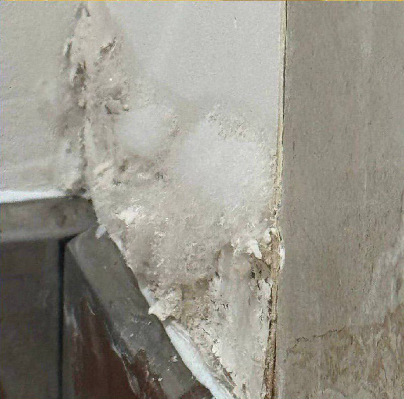 Элитный жилой комплекс Neva Haus в Санкт-Петербурге страдает от разрушения и антисанитарии