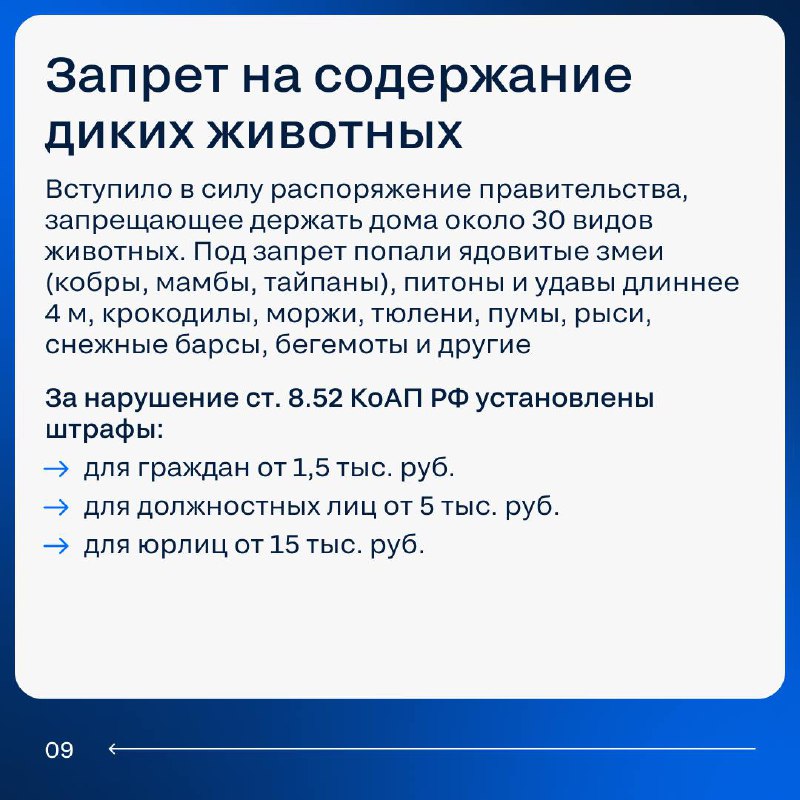 Обновления в законодательстве с сентября: важные изменения и нововведения