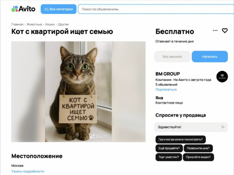 Кот-знаменитость ищет нового хозяина: оригинальный способ рекламы недвижимости