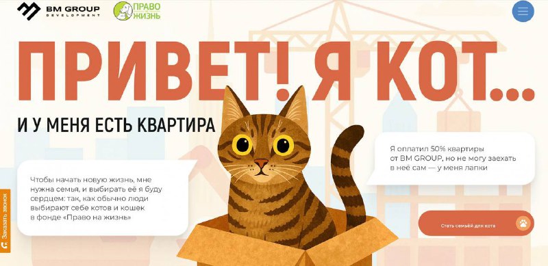 Кот-знаменитость ищет нового хозяина: оригинальный способ рекламы недвижимости