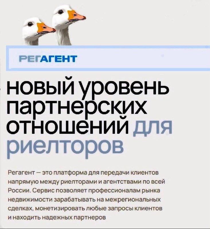 Новый инструмент для расширения партнерских связей среди риелторов