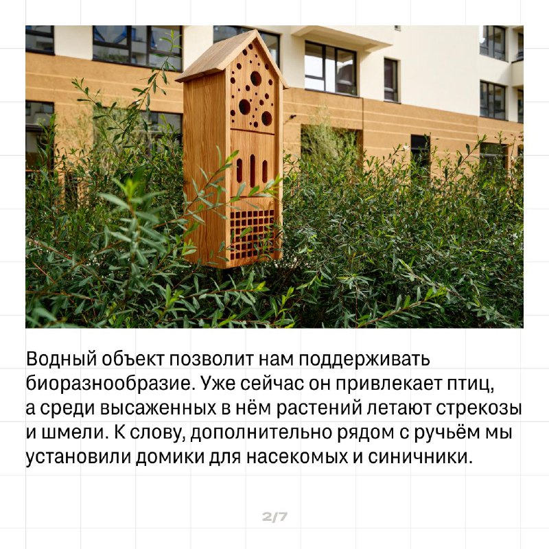 Экологичные решения: создание природных водных объектов в городской среде