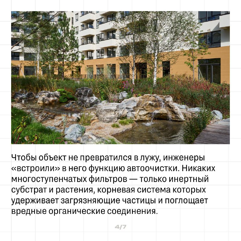 Экологичные решения: создание природных водных объектов в городской среде