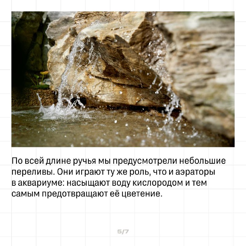 Экологичные решения: создание природных водных объектов в городской среде