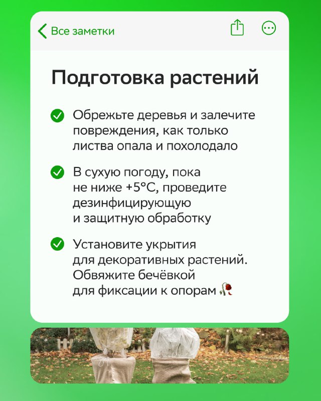 Как правильно подготовить дом и участок к зимовке