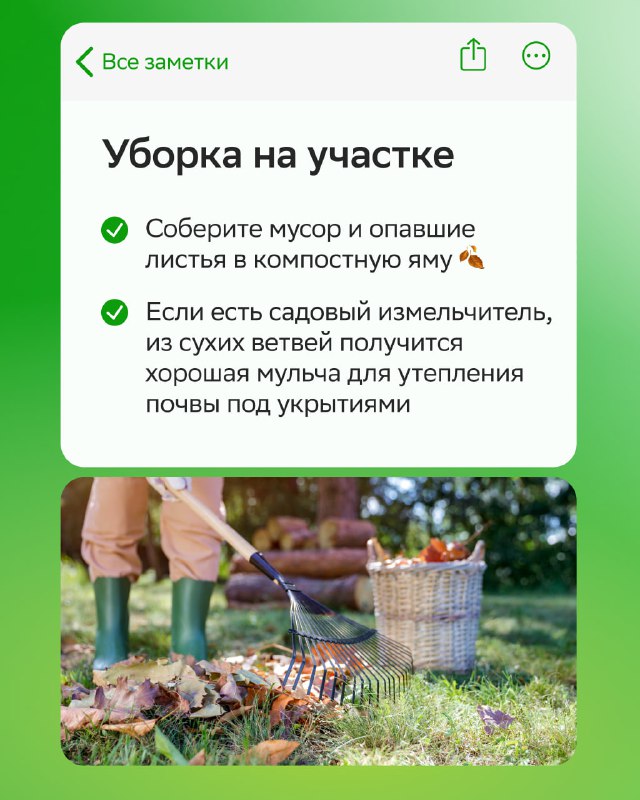 Как правильно подготовить дом и участок к зимовке