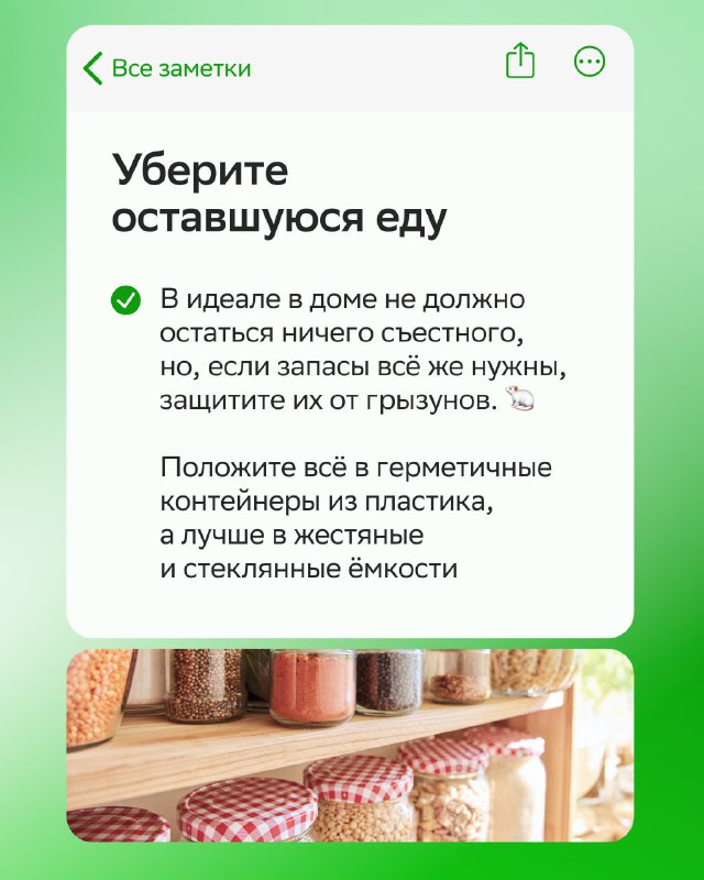 Как правильно подготовить дом и участок к зимовке