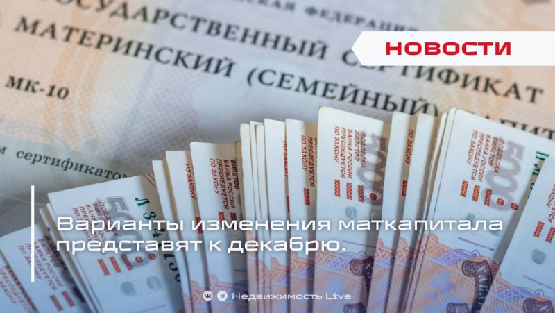 Обновление программы материнского капитала планируется представить к концу года
