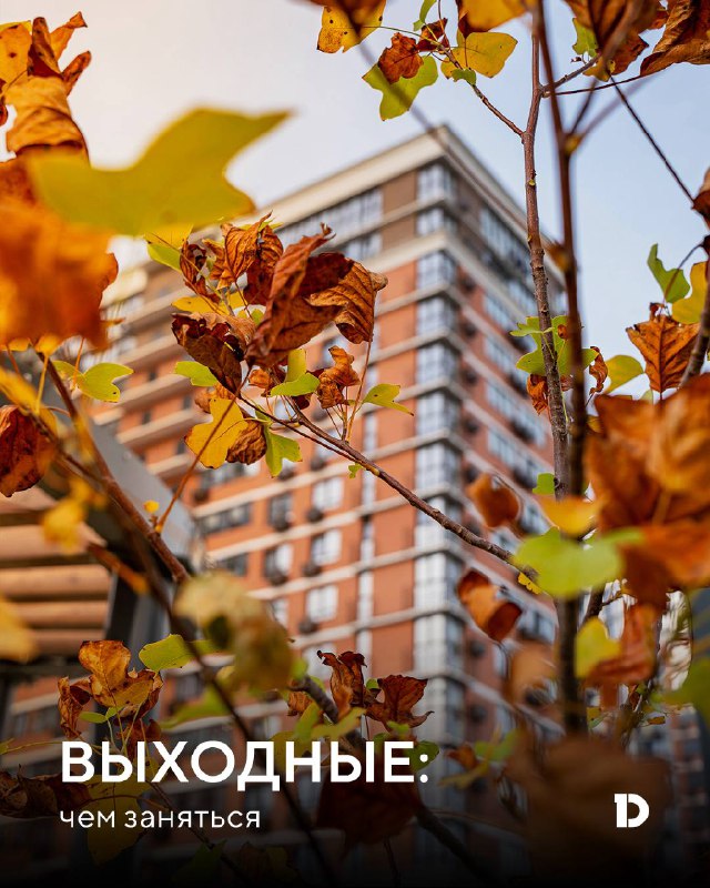 Идеи для проведения праздничных дней: мероприятия и события в городах