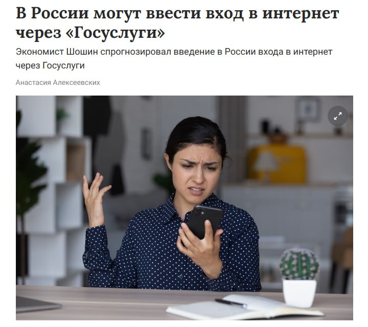 Введение обязательного входа в интернет через государственные сервисы для россиян в 2026 году