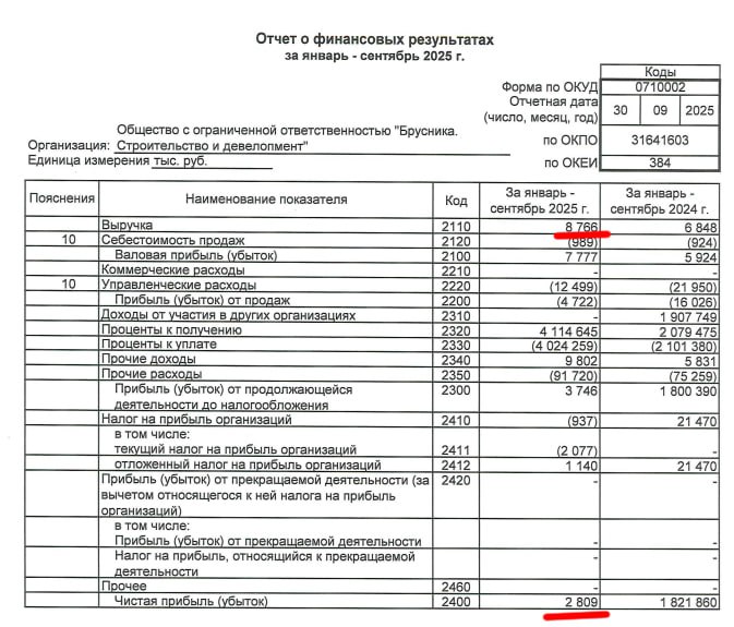Финансовое состояние девелопера: анализ результатов за девять месяцев