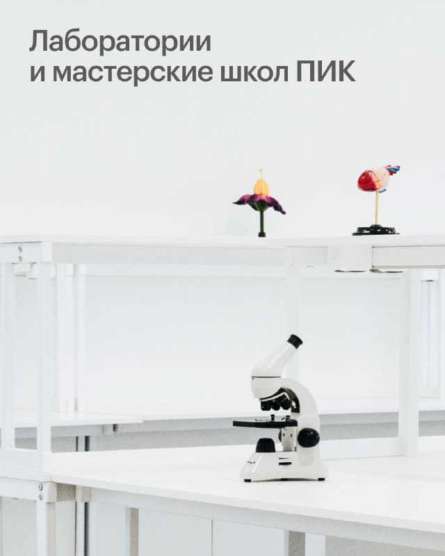 Инновационные технологии и творческие пространства в современных школах ПИК
