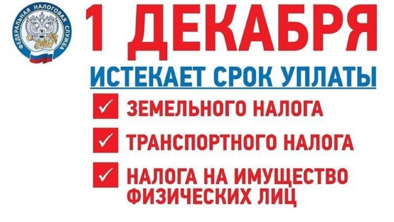 Как не пропустить срок уплаты налогов и избежать пеней