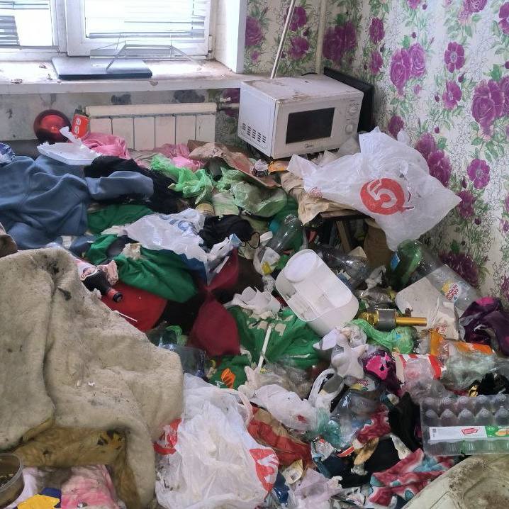 Шокирующий случай разрушенного жилья после аренды: мусор, плесень и мертвая кошка