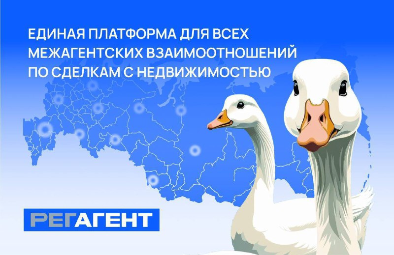 Новые возможности для риелторов: расширение клиентской базы через партнерские сети