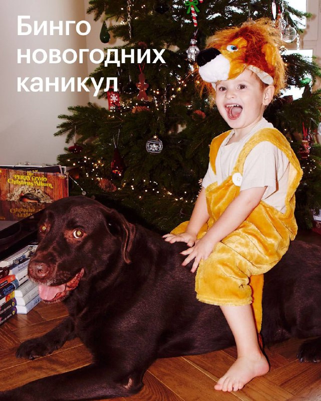 Как насыщенно провести зимние выходные: идеи и развлечения