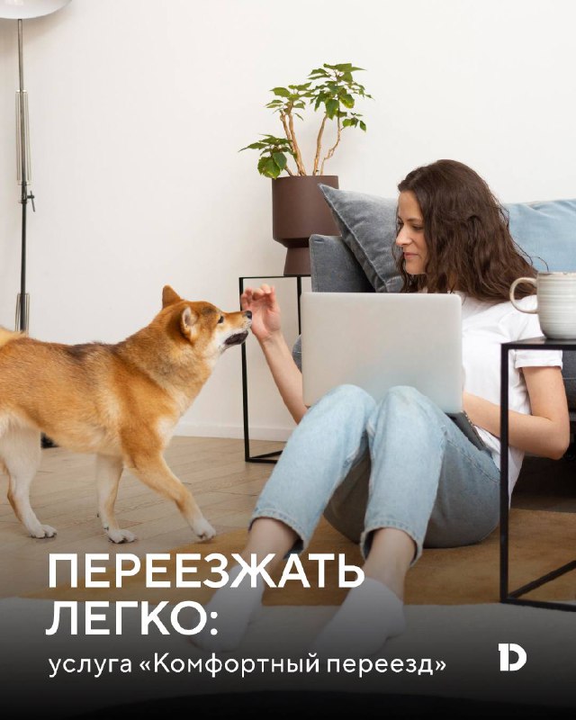 Полный спектр услуг для беззаботного переезда в Краснодаре