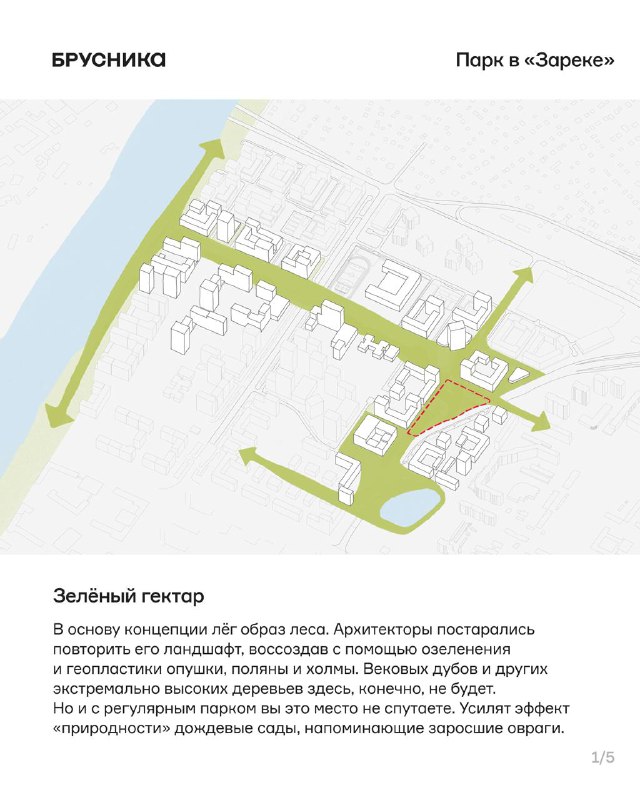 Создание экологического парка в Заречье: концепция и планировка
