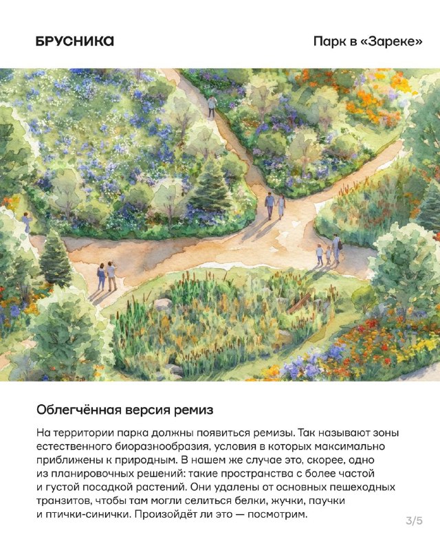Создание экологического парка в Заречье: концепция и планировка