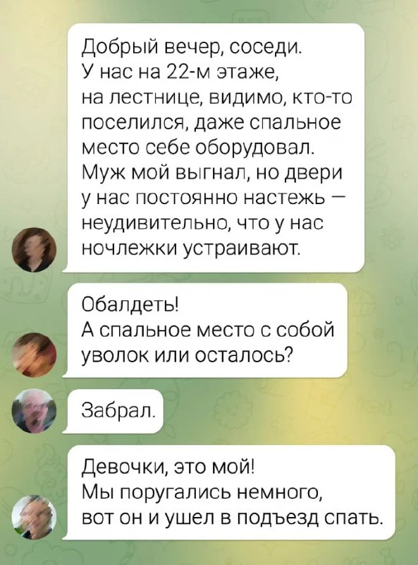 Введены штрафы за нецензурную лексику в домашних чатах