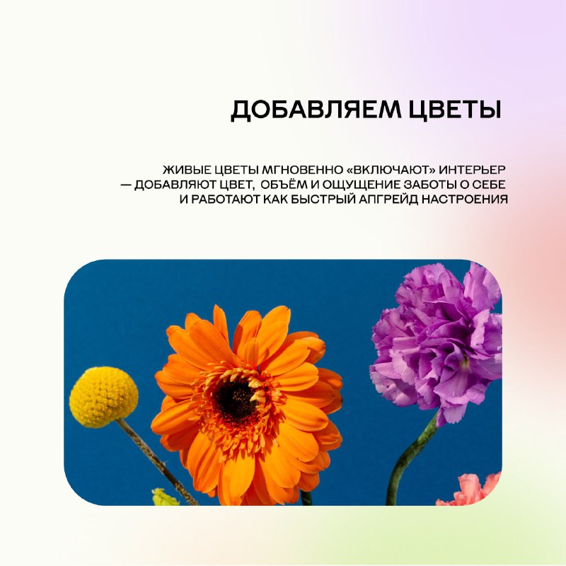 Как добавить радости и энергии в интерьер с помощью дофамина