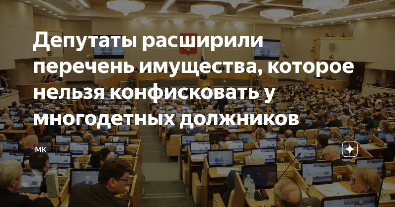 Государственный закон о защите многодетных от изъятия имущества за долги