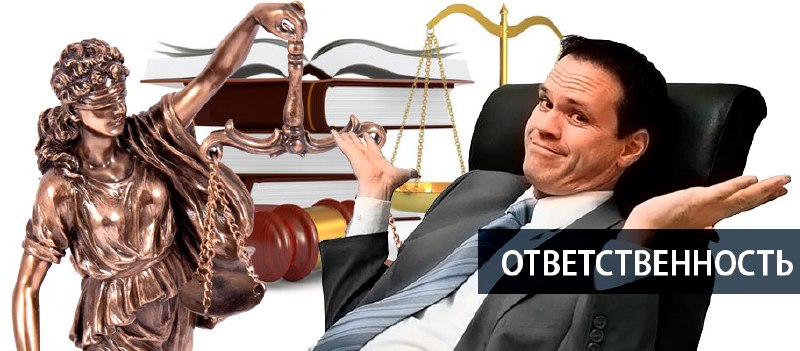 В Совфеде предложили новый закон о риелторах: реестр, запреты и экзамен раз в 5 лет