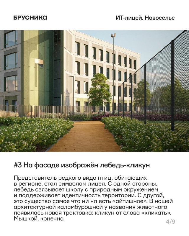 Новосельский лицей: ИТ-образование и современные пространства