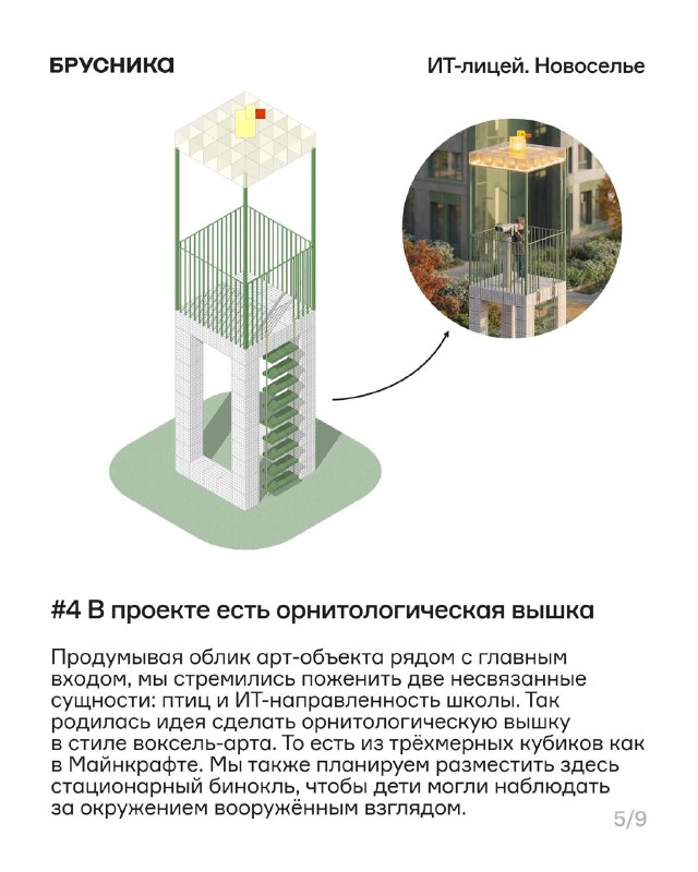 Новосельский лицей: ИТ-образование и современные пространства